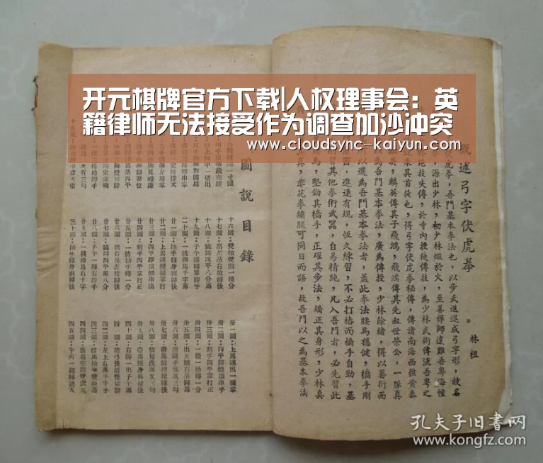 开元棋牌官方下载|人权理事会:英籍律师无法接受作为调查加沙冲突独立专家的任命(图2) 开元棋牌