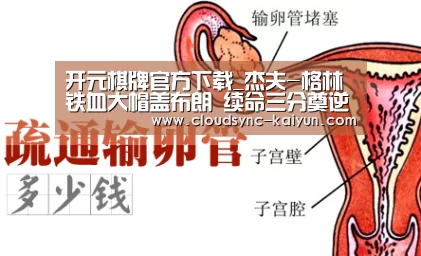 开云下载网址