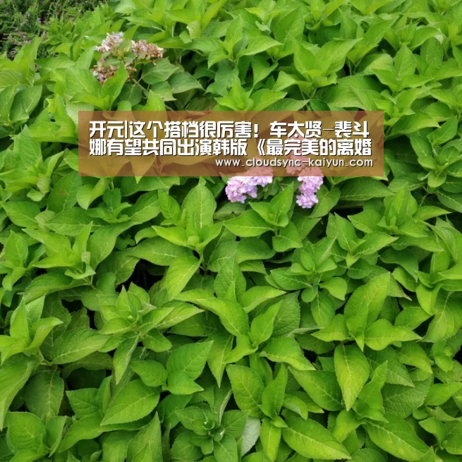 开元棋牌