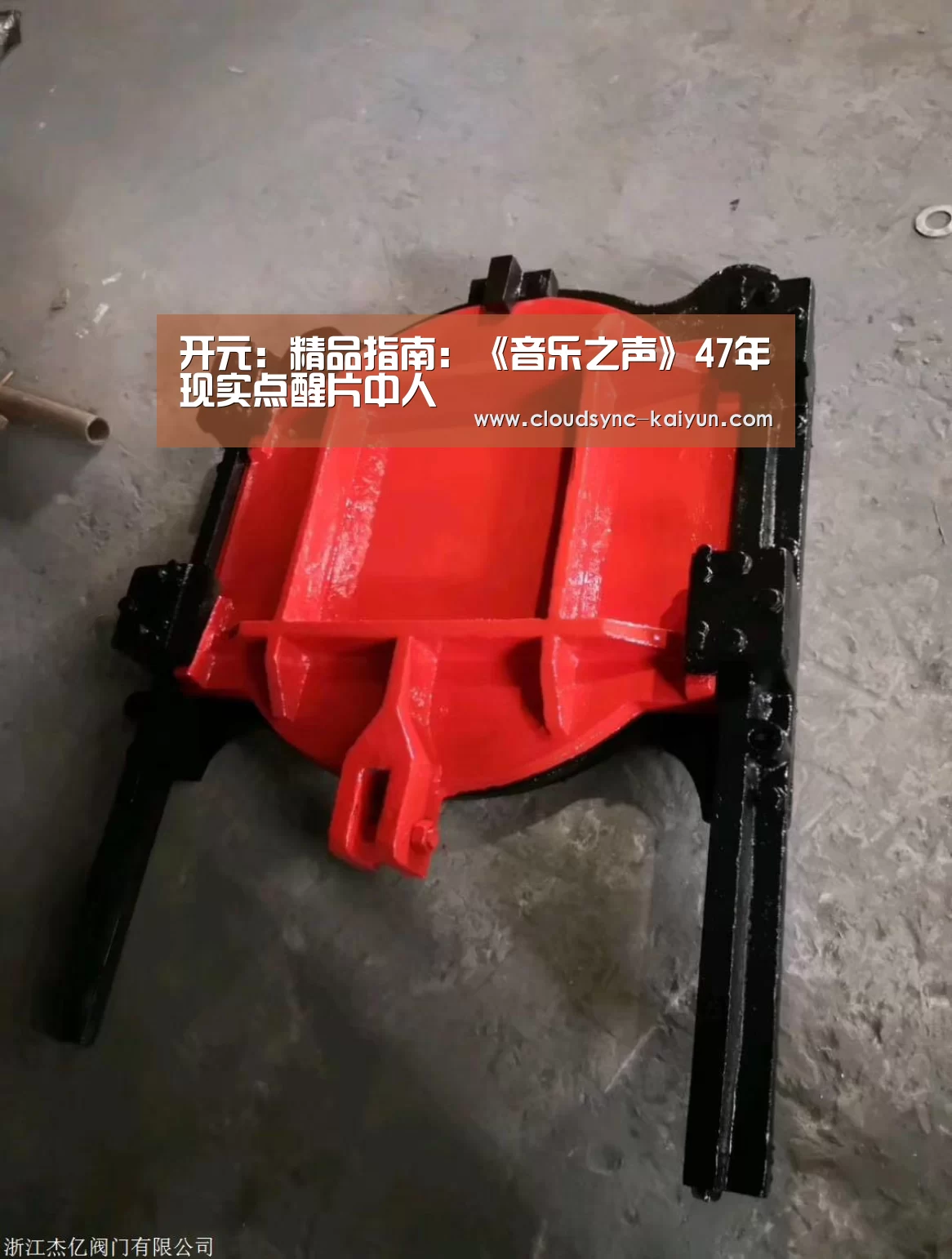 开元:精品指南:《音乐之声》47年现实点醒片中人(图1) 开云下载网址