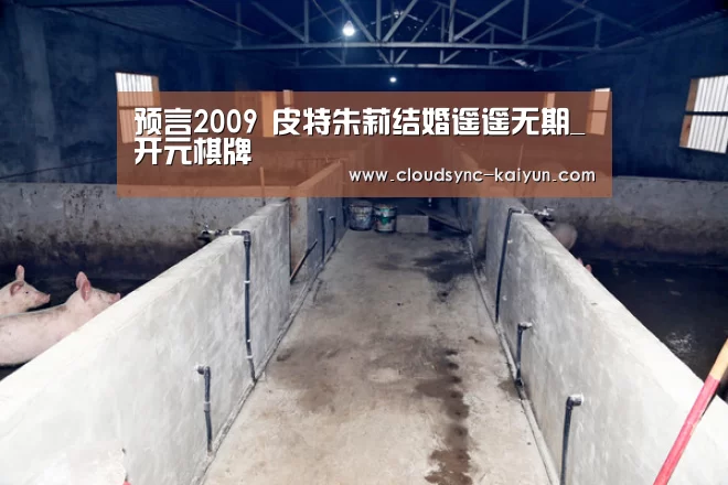 开云下载网址